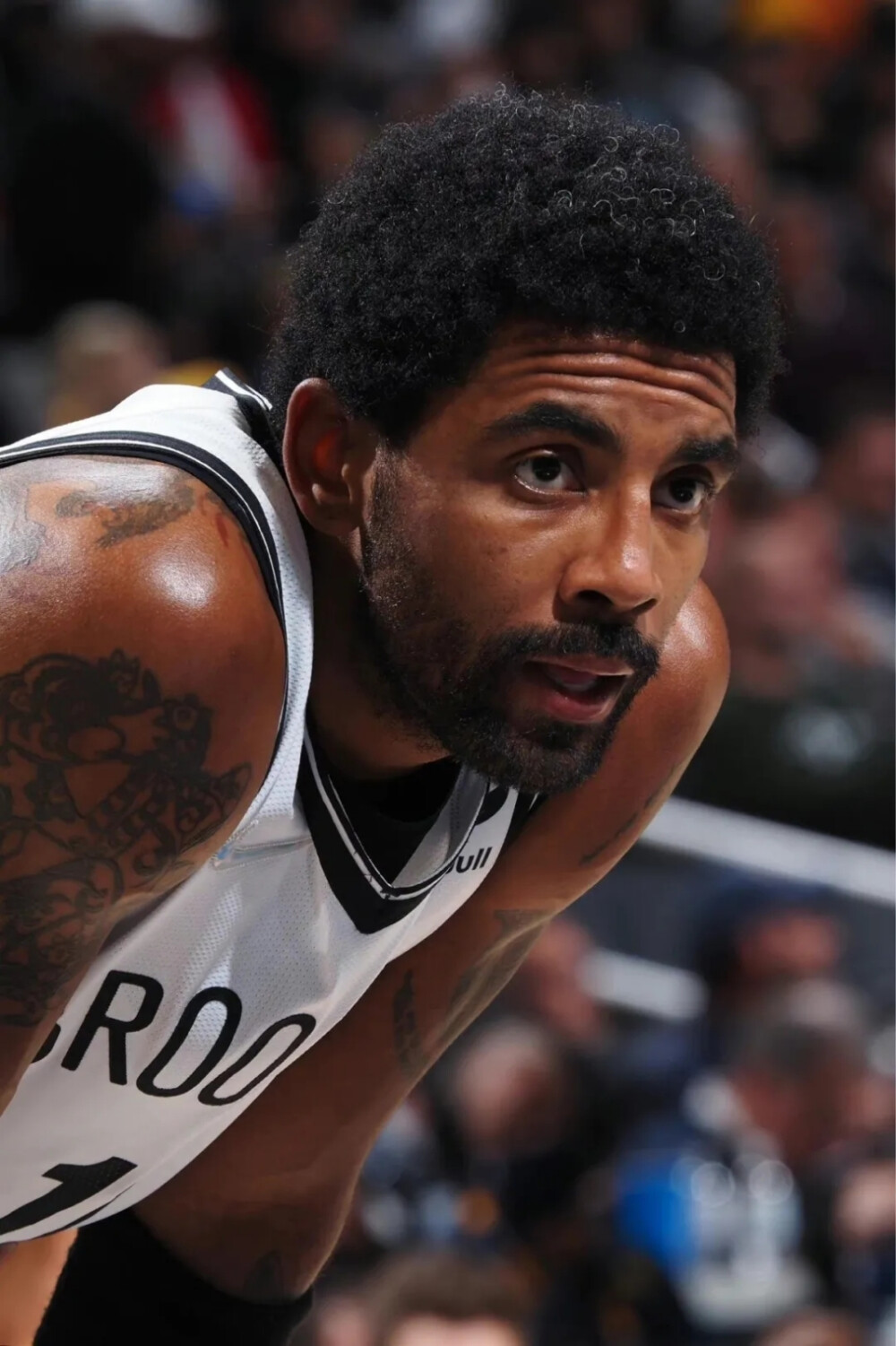 偏收藏与深 偏收藏与深